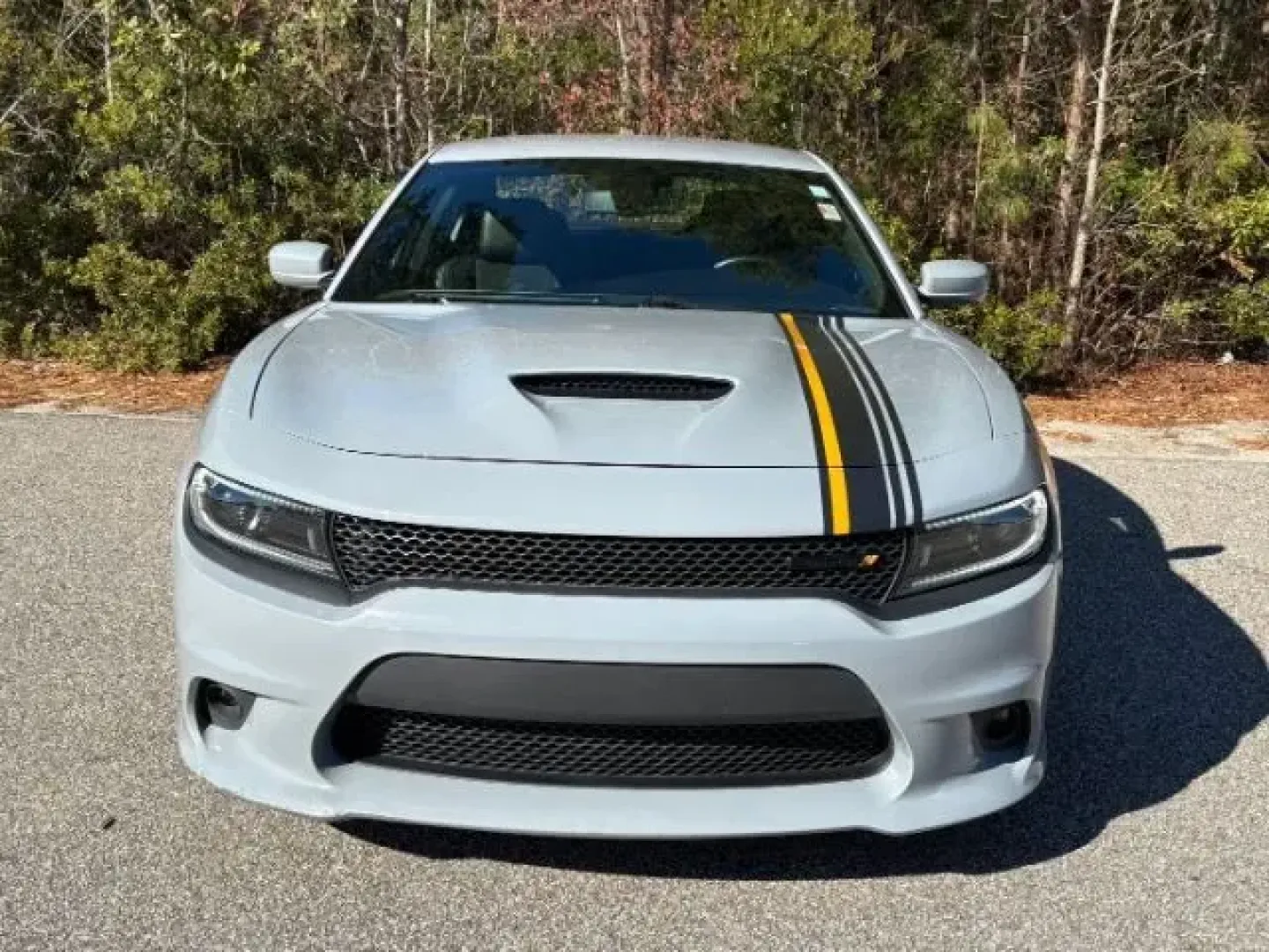 2022 /Black Dodge Charger GT (2C3CDXHG9NH) with an 3.6L V6 DOHC 24V engine, 8-Speed Automatic transmission, located at 3598 James B White Hwy South, Whiteville, NC, 28472, (910) 642-3196, 34.294846, -78.732613 - 2022 Dodge Charger GT - Photo#3