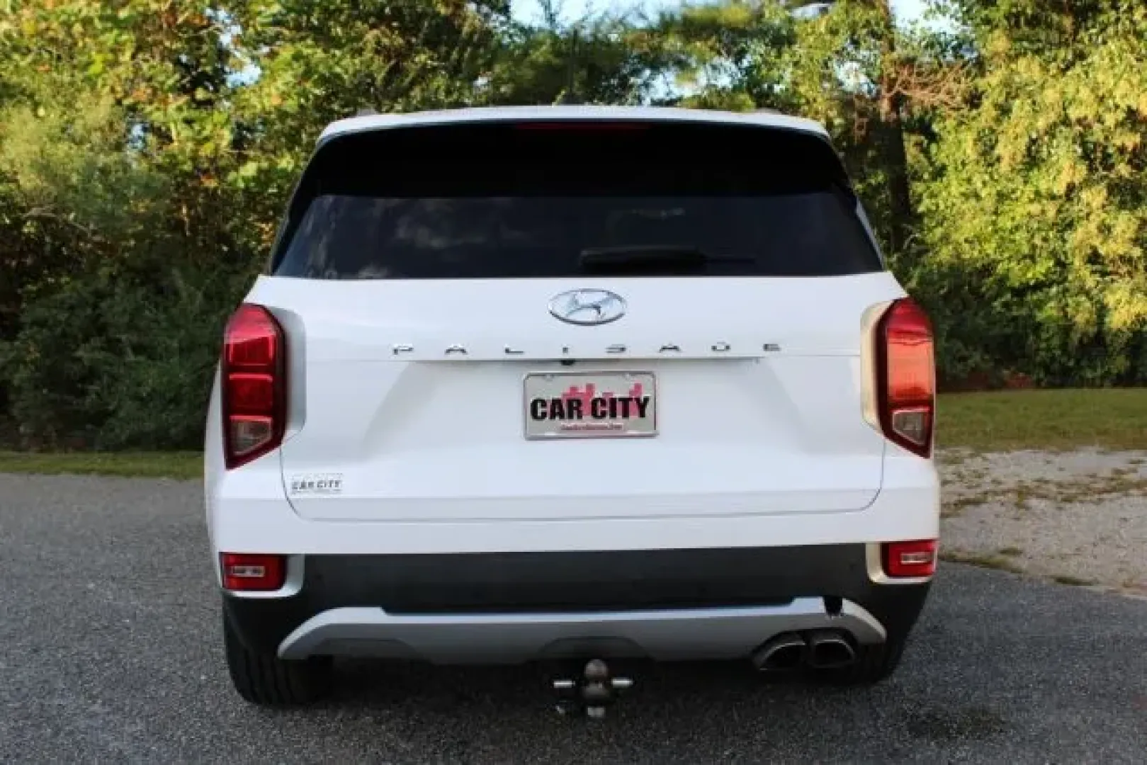 2020 Hyundai Palisade SEL (KM8R24HEXLU) with an Lambda 3.8L V-6 gasoline direct injection engine, located at 3598 James B White Hwy South, Whiteville, NC, 28472, (910) 642-3196, 34.294846, -78.732613 - **Discover Adventure in Comfort with the 2020 Hyundai Palisade SEL at Car City - Whitesville!**<br /> <br /> If you're searching for a versatile vehicle that effortlessly blends style, comfort, and functionality, look no further than the 2020 Hyundai Palisade SEL, available now at Car City - Whitesv - Photo#4