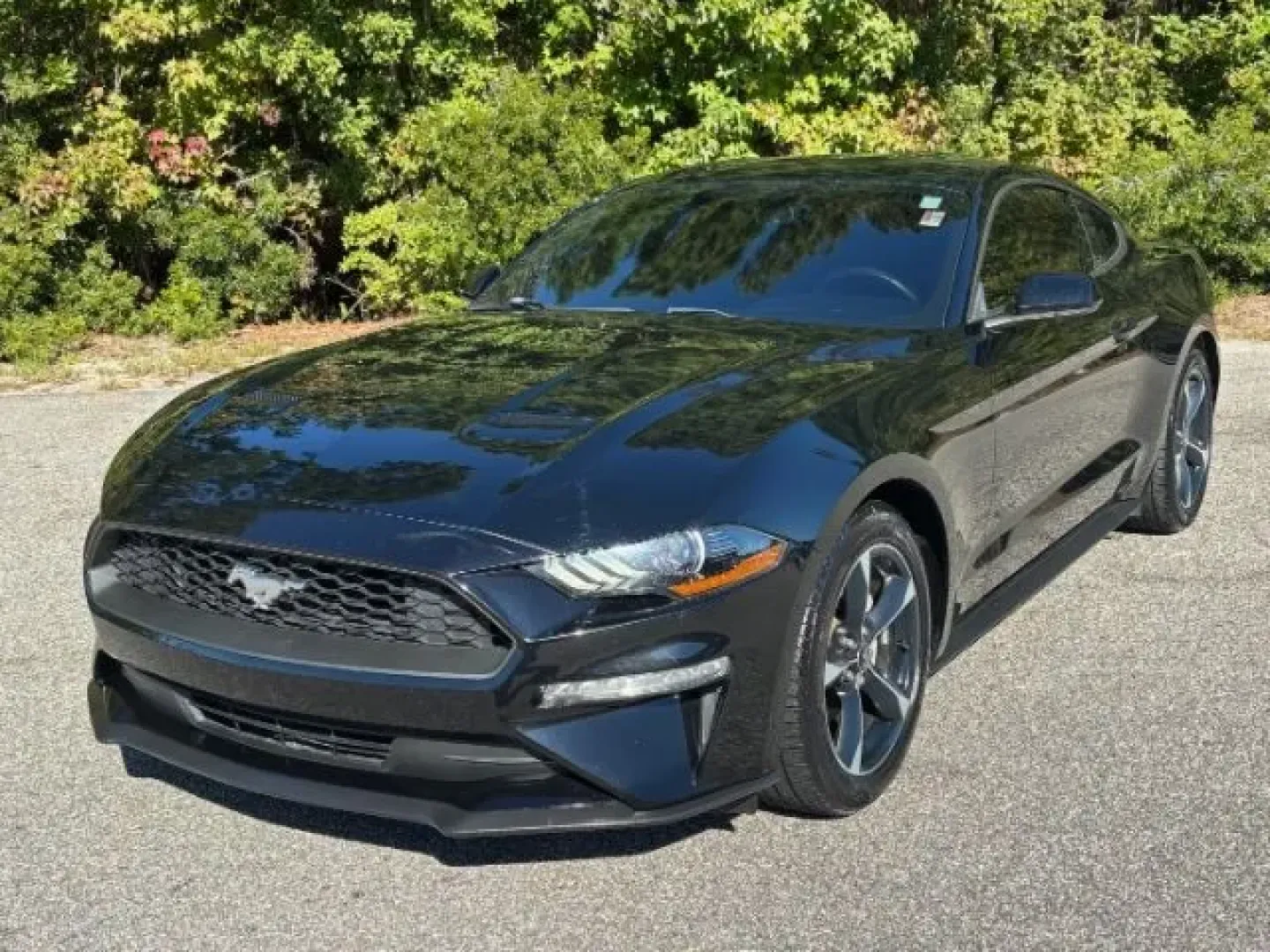 2019 /Ebony Ford Mustang EcoBoost (1FA6P8TH6K5) with an EcoBoost 2.3L I-4 gasoline direct injection engine, located at 2761 East Hwy 501, Conway, SC, 29526, (843) 331-1151, 33.781528, -78.989883 - **Unleash Your Inner Adventurer with the 2019 Ford Mustang EcoBoost from Car City - Conway!**<br /> <br /> Are you ready to elevate your driving experience? Whether you're cruising through the picturesque streets of Conway or embarking on weekend getaways, the 2019 Ford Mustang EcoBoost is designed - Photo#0