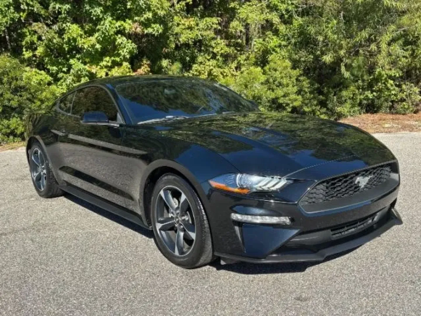 2019 /Ebony Ford Mustang EcoBoost (1FA6P8TH6K5) with an EcoBoost 2.3L I-4 gasoline direct injection engine, located at 2761 East Hwy 501, Conway, SC, 29526, (843) 331-1151, 33.781528, -78.989883 - **Unleash Your Inner Adventurer with the 2019 Ford Mustang EcoBoost from Car City - Conway!**<br /> <br /> Are you ready to elevate your driving experience? Whether you're cruising through the picturesque streets of Conway or embarking on weekend getaways, the 2019 Ford Mustang EcoBoost is designed - Photo#1