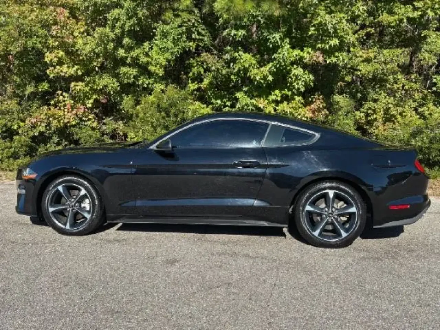 2019 /Ebony Ford Mustang EcoBoost (1FA6P8TH6K5) with an EcoBoost 2.3L I-4 gasoline direct injection engine, located at 2761 East Hwy 501, Conway, SC, 29526, (843) 331-1151, 33.781528, -78.989883 - **Unleash Your Inner Adventurer with the 2019 Ford Mustang EcoBoost from Car City - Conway!**<br /> <br /> Are you ready to elevate your driving experience? Whether you're cruising through the picturesque streets of Conway or embarking on weekend getaways, the 2019 Ford Mustang EcoBoost is designed - Photo#2