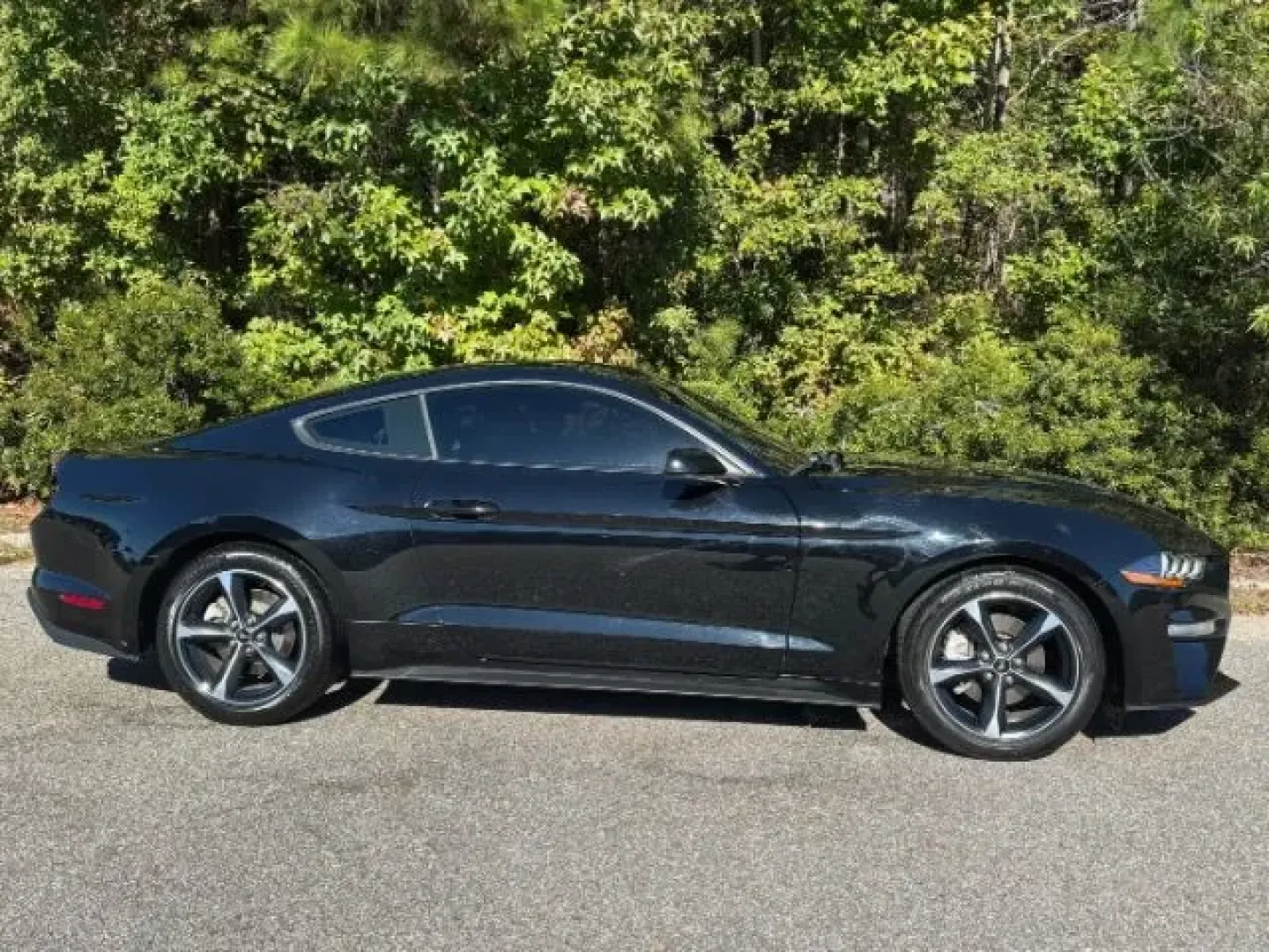 2019 /Ebony Ford Mustang EcoBoost (1FA6P8TH6K5) with an EcoBoost 2.3L I-4 gasoline direct injection engine, located at 2761 East Hwy 501, Conway, SC, 29526, (843) 331-1151, 33.781528, -78.989883 - **Unleash Your Inner Adventurer with the 2019 Ford Mustang EcoBoost from Car City - Conway!**<br /> <br /> Are you ready to elevate your driving experience? Whether you're cruising through the picturesque streets of Conway or embarking on weekend getaways, the 2019 Ford Mustang EcoBoost is designed - Photo#3