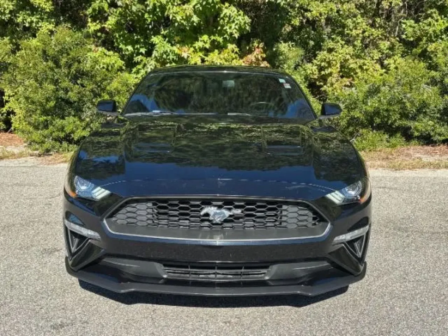 2019 /Ebony Ford Mustang EcoBoost (1FA6P8TH6K5) with an EcoBoost 2.3L I-4 gasoline direct injection engine, located at 2761 East Hwy 501, Conway, SC, 29526, (843) 331-1151, 33.781528, -78.989883 - **Unleash Your Inner Adventurer with the 2019 Ford Mustang EcoBoost from Car City - Conway!**<br /> <br /> Are you ready to elevate your driving experience? Whether you're cruising through the picturesque streets of Conway or embarking on weekend getaways, the 2019 Ford Mustang EcoBoost is designed - Photo#4