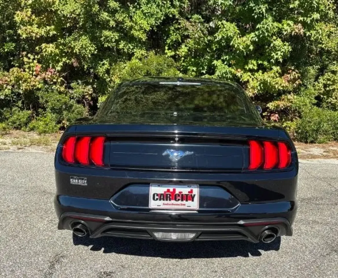 2019 /Ebony Ford Mustang EcoBoost (1FA6P8TH6K5) with an EcoBoost 2.3L I-4 gasoline direct injection engine, located at 2761 East Hwy 501, Conway, SC, 29526, (843) 331-1151, 33.781528, -78.989883 - **Unleash Your Inner Adventurer with the 2019 Ford Mustang EcoBoost from Car City - Conway!**<br /> <br /> Are you ready to elevate your driving experience? Whether you're cruising through the picturesque streets of Conway or embarking on weekend getaways, the 2019 Ford Mustang EcoBoost is designed - Photo#5