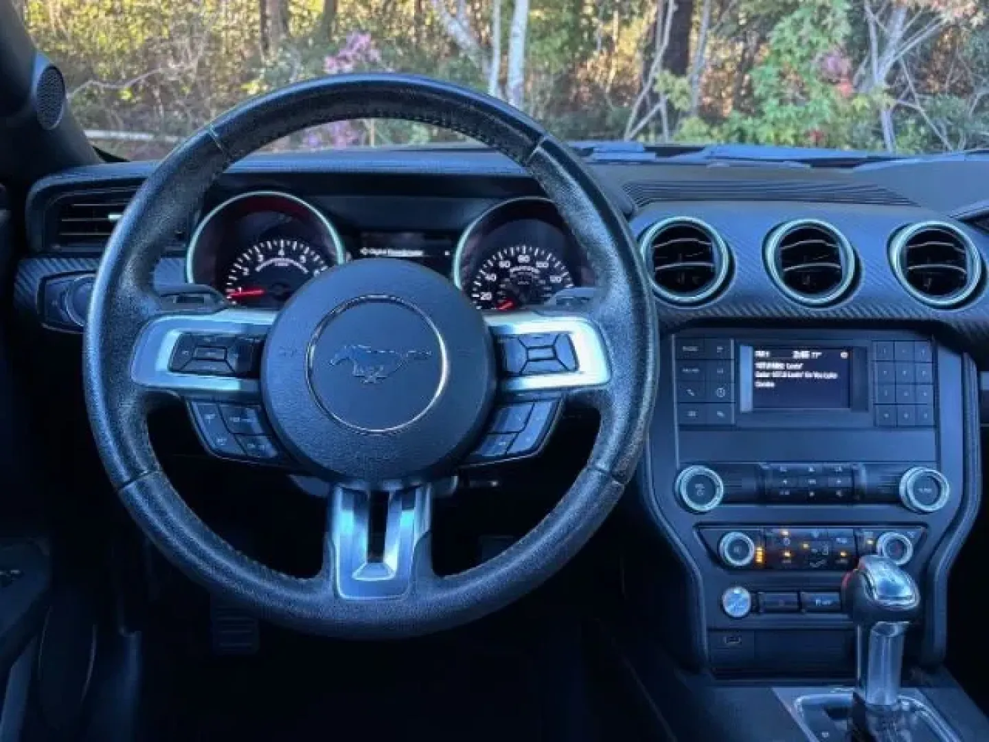2019 /Ebony Ford Mustang EcoBoost (1FA6P8TH6K5) with an EcoBoost 2.3L I-4 gasoline direct injection engine, located at 2761 East Hwy 501, Conway, SC, 29526, (843) 331-1151, 33.781528, -78.989883 - **Unleash Your Inner Adventurer with the 2019 Ford Mustang EcoBoost from Car City - Conway!**<br /> <br /> Are you ready to elevate your driving experience? Whether you're cruising through the picturesque streets of Conway or embarking on weekend getaways, the 2019 Ford Mustang EcoBoost is designed - Photo#7