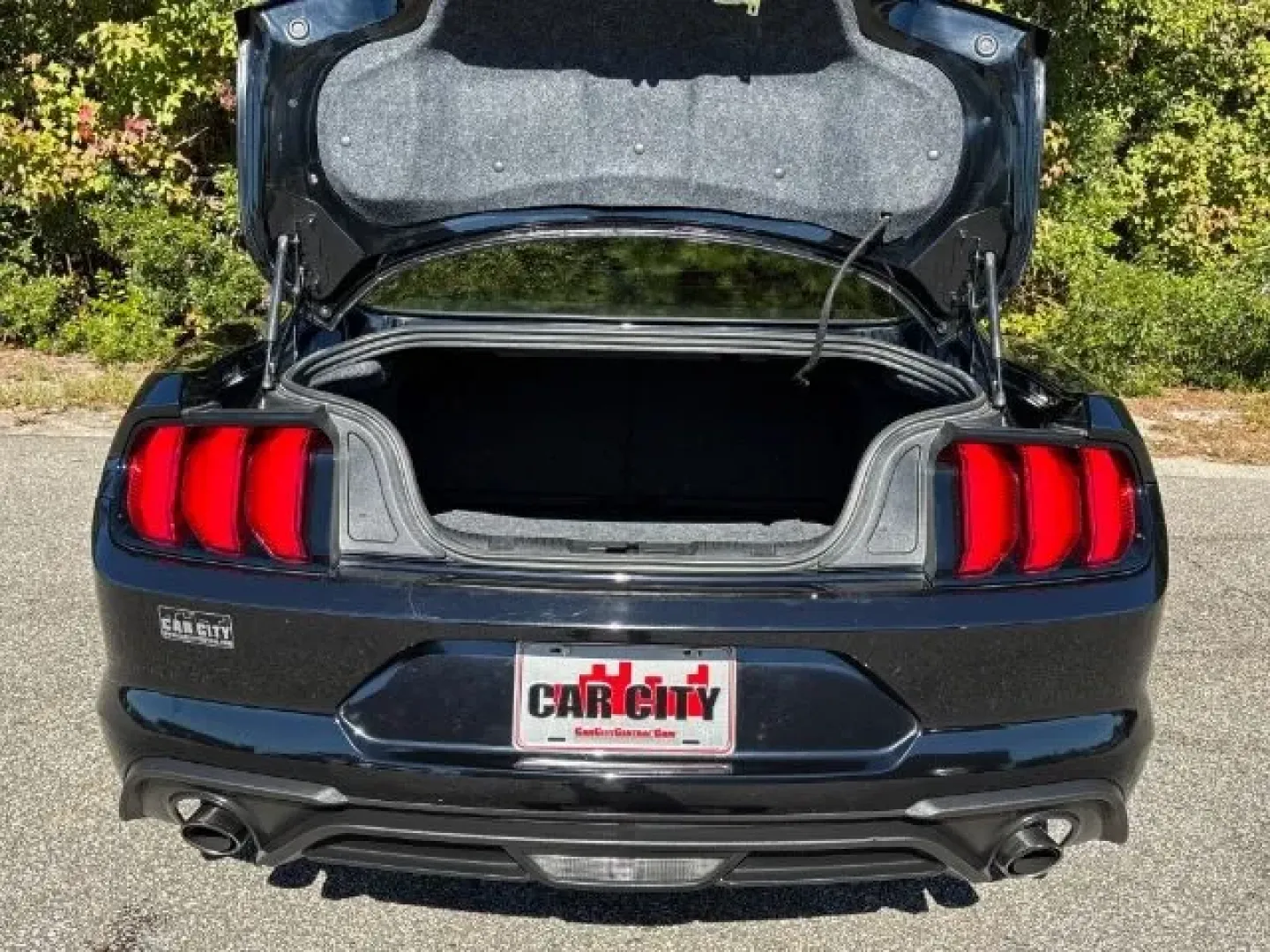 2019 /Ebony Ford Mustang EcoBoost (1FA6P8TH6K5) with an EcoBoost 2.3L I-4 gasoline direct injection engine, located at 2761 East Hwy 501, Conway, SC, 29526, (843) 331-1151, 33.781528, -78.989883 - **Unleash Your Inner Adventurer with the 2019 Ford Mustang EcoBoost from Car City - Conway!**<br /> <br /> Are you ready to elevate your driving experience? Whether you're cruising through the picturesque streets of Conway or embarking on weekend getaways, the 2019 Ford Mustang EcoBoost is designed - Photo#10