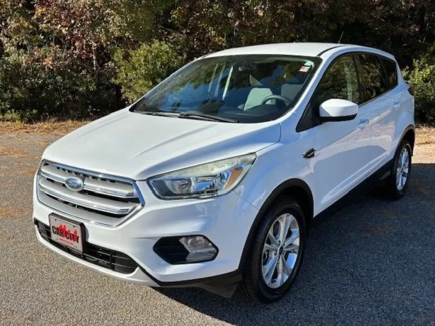 2017 Ford Escape SE 4WD (1FMCU9GD2HU) with an 1.5L L4 DOHC 16V engine, 6-Speed Automatic transmission, located at 2761 East Hwy 501, Conway, SC, 29526, (843) 331-1151, 33.781528, -78.989883 - Are you ready to elevate your driving experience? Whether you're commuting to work, dropping the kids off at school, or embarking on a weekend adventure, the 2017 Ford Escape SE 4WD is the perfect blend of style, functionality, and dependability. Nestled at Car City - Conway, your premier pre-owned - Photo#0