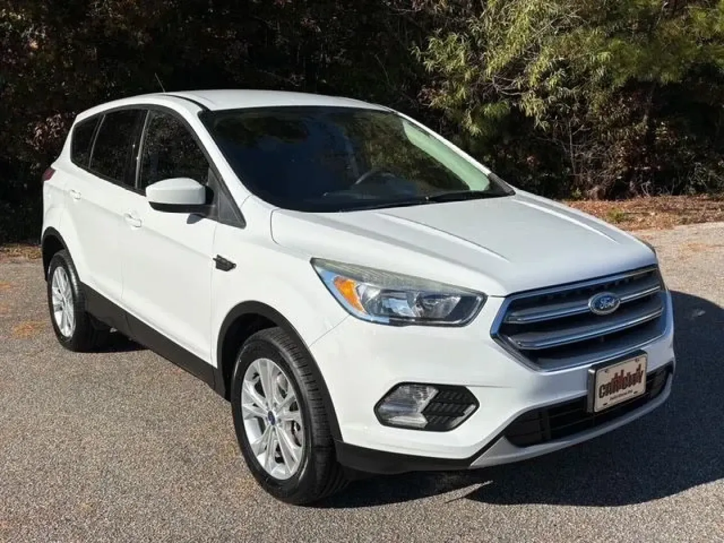 2017 Ford Escape SE 4WD (1FMCU9GD2HU) with an 1.5L L4 DOHC 16V engine, 6-Speed Automatic transmission, located at 2761 East Hwy 501, Conway, SC, 29526, (843) 331-1151, 33.781528, -78.989883 - Are you ready to elevate your driving experience? Whether you're commuting to work, dropping the kids off at school, or embarking on a weekend adventure, the 2017 Ford Escape SE 4WD is the perfect blend of style, functionality, and dependability. Nestled at Car City - Conway, your premier pre-owned - Photo#1