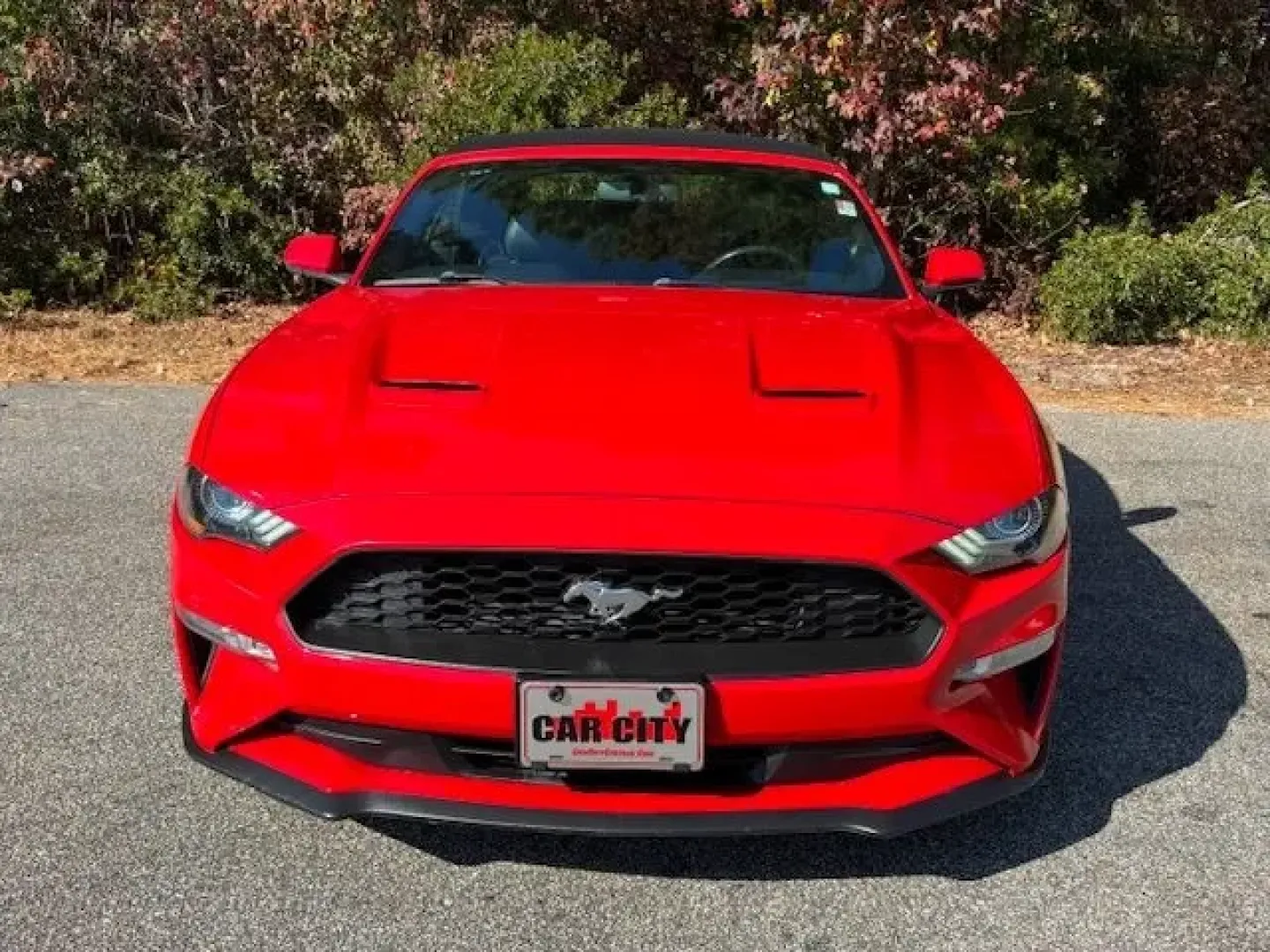 2020 /Ebony Ford Mustang EcoBoost Premium Convertible (1FATP8UH9L5) with an EcoBoost 2.3L I-4 gasoline direct injection engine, located at 2761 East Hwy 501, Conway, SC, 29526, (843) 331-1151, 33.781528, -78.989883 - **Unleash Your Adventurous Spirit with the 2020 Ford Mustang EcoBoost Premium Convertible!** <br /> <br /> Are you ready to elevate your driving experience? Whether you're cruising along the stunning coastal roads of Myrtle Beach or embarking on weekend escapades through the picturesque scenery surr - Photo#5