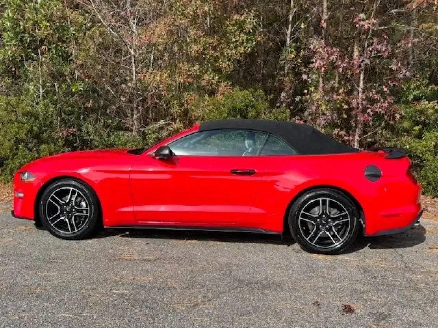 2020 /Ebony Ford Mustang EcoBoost Premium Convertible (1FATP8UH3L5) with an EcoBoost 2.3L I-4 gasoline direct injection engine, located at 2761 East Hwy 501, Conway, SC, 29526, (843) 331-1151, 33.781528, -78.989883 - **Experience the Thrill of the Open Road with the 2020 Ford Mustang EcoBoost Premium Convertible!**<br /> <br /> Are you ready to turn heads and feel the wind in your hair? Whether you're embarking on weekend adventures or simply looking to elevate your daily commute, our stunning 2020 Ford Mustang - Photo#3