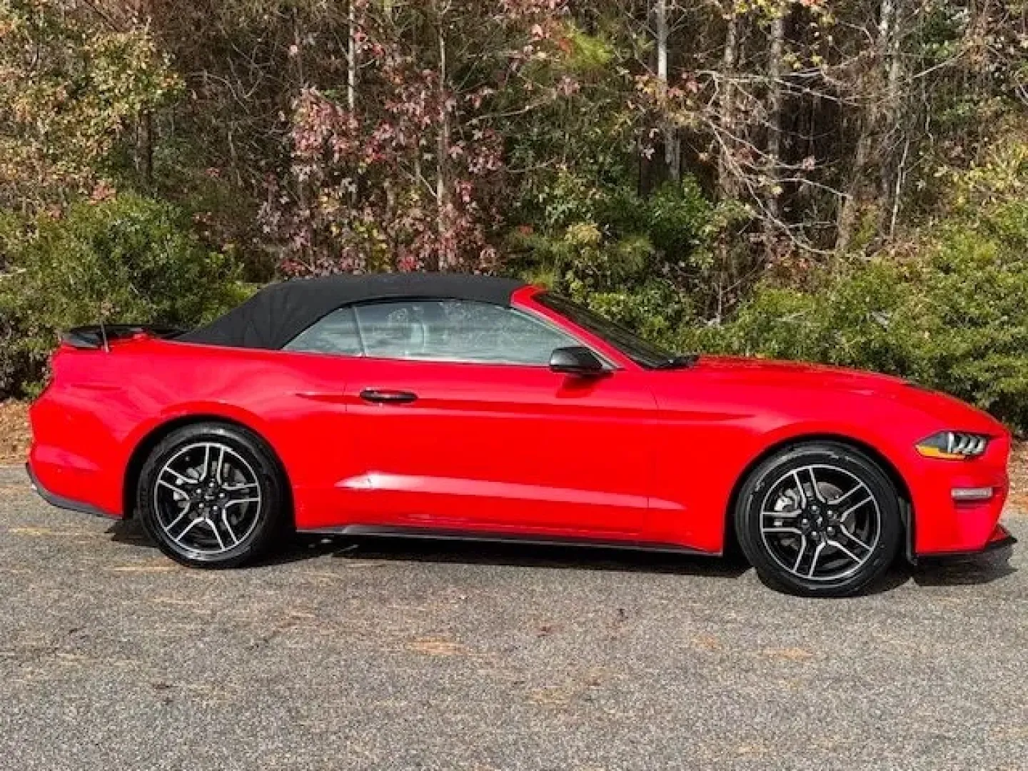2020 /Ebony Ford Mustang EcoBoost Premium Convertible (1FATP8UH3L5) with an EcoBoost 2.3L I-4 gasoline direct injection engine, located at 2761 East Hwy 501, Conway, SC, 29526, (843) 331-1151, 33.781528, -78.989883 - **Experience the Thrill of the Open Road with the 2020 Ford Mustang EcoBoost Premium Convertible!**<br /> <br /> Are you ready to turn heads and feel the wind in your hair? Whether you're embarking on weekend adventures or simply looking to elevate your daily commute, our stunning 2020 Ford Mustang - Photo#4