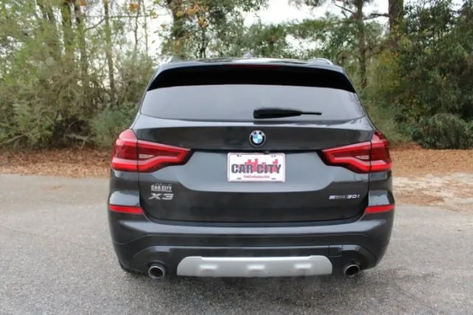 2020 BMW X3 sDrive30i (5UXTY3C01L9) with an 2L I-4 gasoline direct injection engine, located at 3598 James B White Hwy South, Whiteville, NC, 28472, (910) 642-3196, 34.294846, -78.732613 - 2020 BMW X3 sDrive30i - Photo#2
