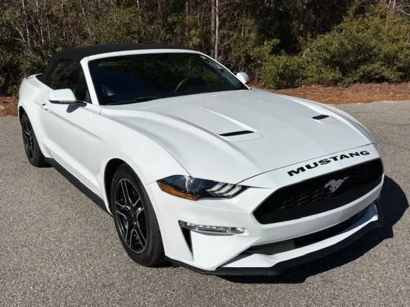 2018 /BLACK LEATHER Ford Mustang EcoBoost Premium Convertible (1FATP8UHXJ5) with an 2.3L L4 DOHC 16V engine, located at 2761 East Hwy 501, Conway, SC, 29526, (843) 331-1151, 33.781528, -78.989883 - **Unleash Your Spirit of Adventure with the 2018 Ford Mustang EcoBoost Premium Convertible!**<br /> <br /> Are you ready to elevate your driving experience? This stunning 2018 Ford Mustang EcoBoost Premium Convertible is perfect for those who crave the thrill of the open road while enjoying the comf - Photo#1