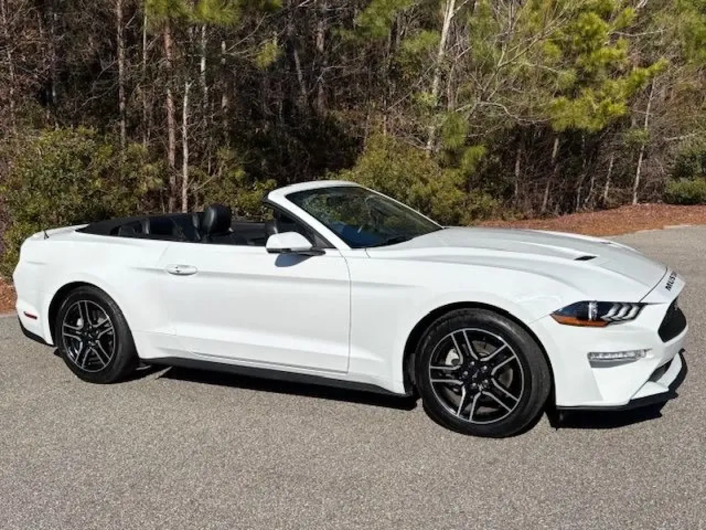 2018 /BLACK LEATHER Ford Mustang EcoBoost Premium Convertible (1FATP8UHXJ5) with an 2.3L L4 DOHC 16V engine, located at 2761 East Hwy 501, Conway, SC, 29526, (843) 331-1151, 33.781528, -78.989883 - **Unleash Your Spirit of Adventure with the 2018 Ford Mustang EcoBoost Premium Convertible!**<br /> <br /> Are you ready to elevate your driving experience? This stunning 2018 Ford Mustang EcoBoost Premium Convertible is perfect for those who crave the thrill of the open road while enjoying the comf - Photo#4