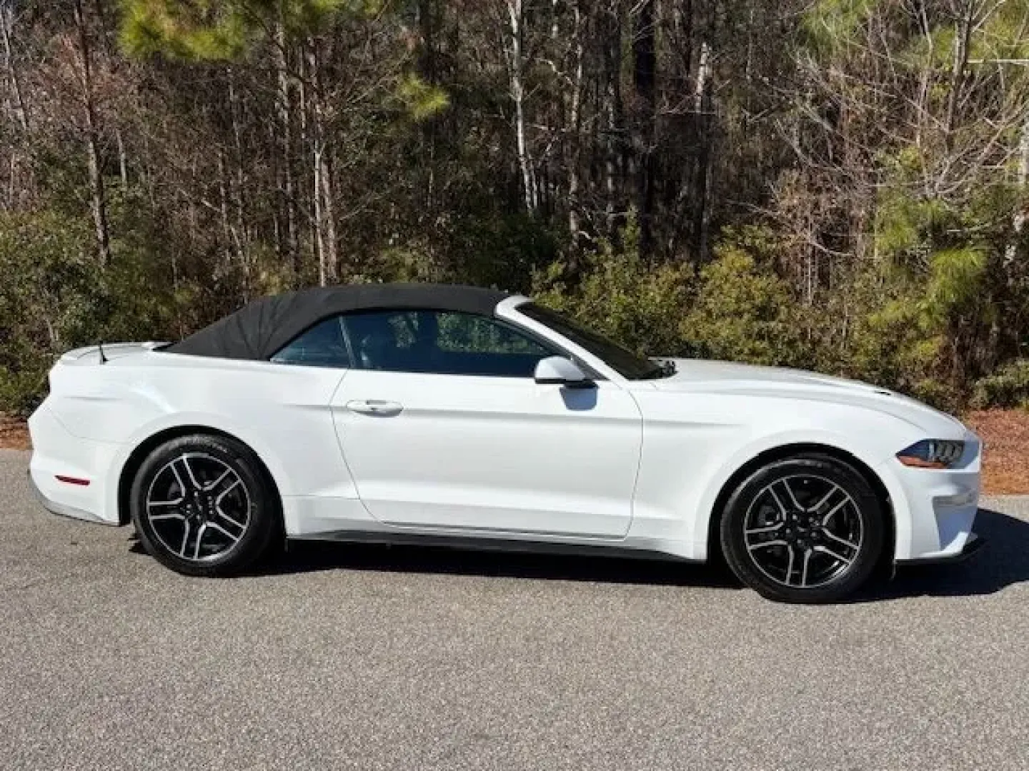 2018 /BLACK LEATHER Ford Mustang EcoBoost Premium Convertible (1FATP8UHXJ5) with an 2.3L L4 DOHC 16V engine, located at 2761 East Hwy 501, Conway, SC, 29526, (843) 331-1151, 33.781528, -78.989883 - **Unleash Your Spirit of Adventure with the 2018 Ford Mustang EcoBoost Premium Convertible!**<br /> <br /> Are you ready to elevate your driving experience? This stunning 2018 Ford Mustang EcoBoost Premium Convertible is perfect for those who crave the thrill of the open road while enjoying the comf - Photo#6